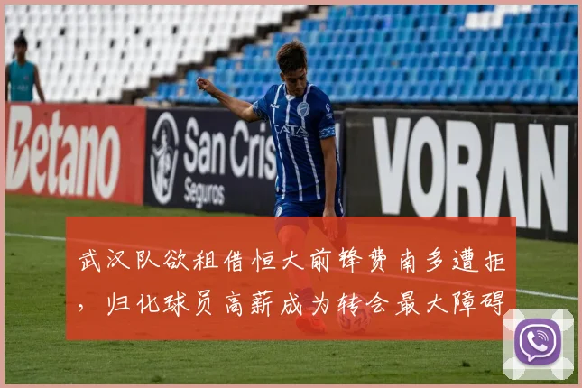 武汉队欲租借恒大前锋费南多遭拒,归化球员高薪成为转会最大障碍