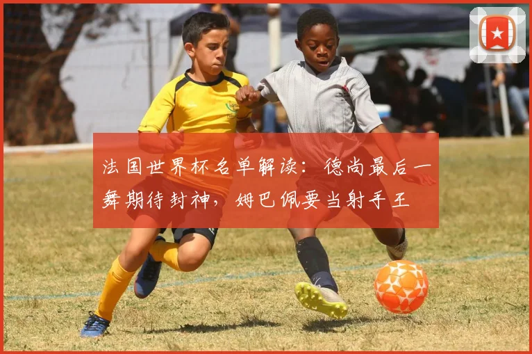 法国世界杯名单解读：德尚最后一舞期待封神，姆巴佩要当射手王